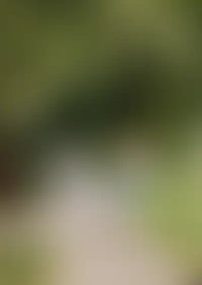 Изображение галереи