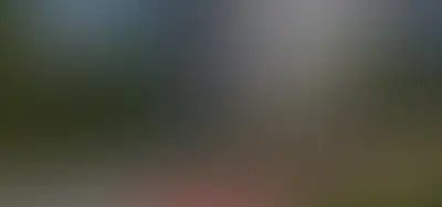 Изображение галереи