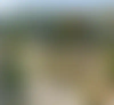 Изображение галереи