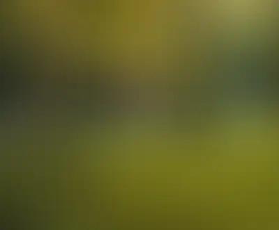 Изображение галереи