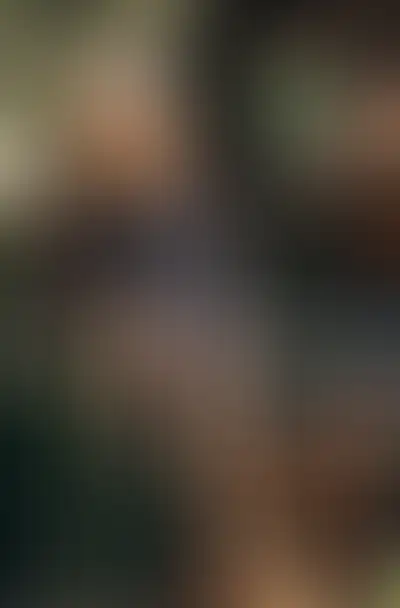 Изображение галереи