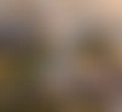 Изображение галереи