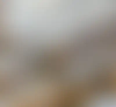 Изображение галереи