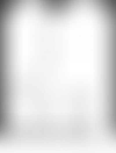 Планировка VOICE