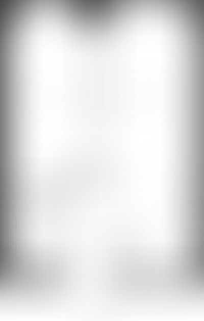 Планировка VOICE