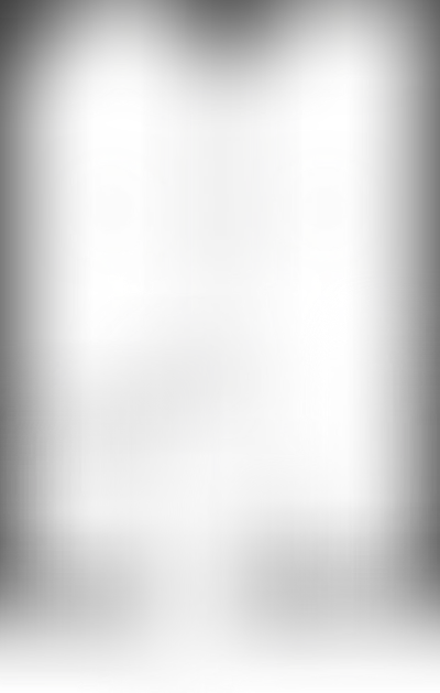 Планировка VOICE