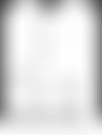 Планировка VOICE