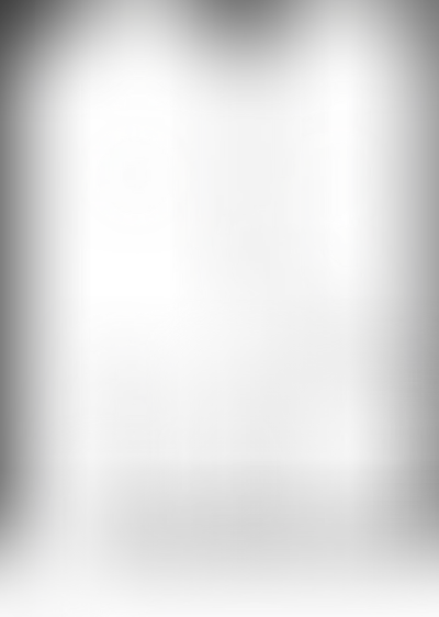 Планировка VOICE