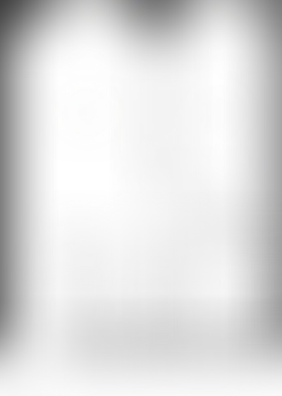 Планировка VOICE