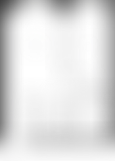 Планировка VOICE