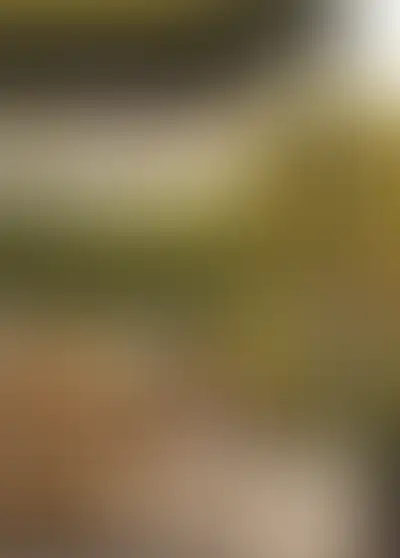 Изображение галереи