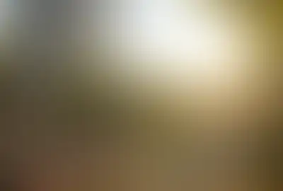 Изображение галереи