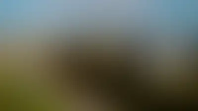 Изображение хода строительства